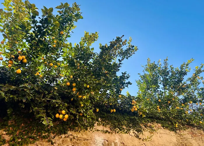 Zeste In Centro Citta Con Privata Sarzana